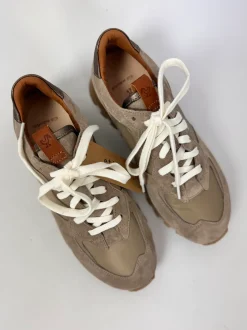 Elia Maurizi Dalia Trainers